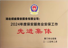 喜報！領(lǐng)威保安榮獲“2024年度保安服務(wù)業(yè)安保工